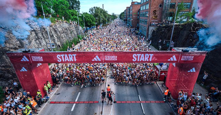 Cover image for Age Group races in focus
