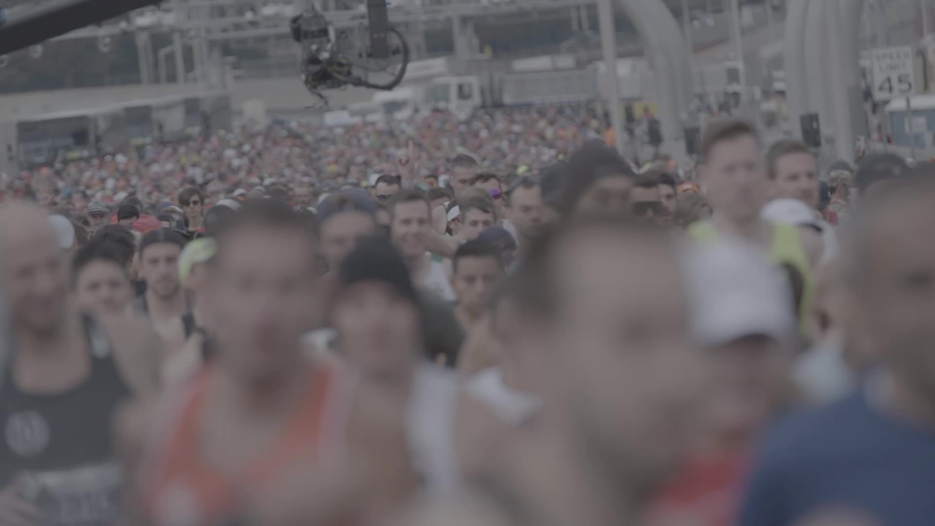 Cover image for Crowd Pleaser